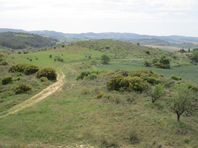 Almara E (468 m)