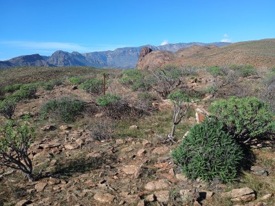 Cumbre de Amurga (1018 m)