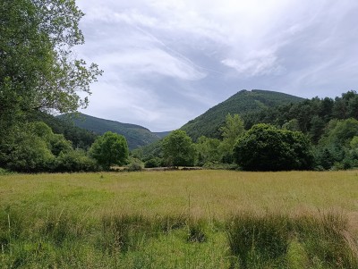 Pandia, Alto de la (1724 m)