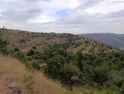 Cadena, Cerro de la (1111 m)