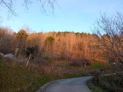 Igerolagaña (300 m)