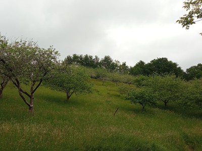 Gañeta (231 m)