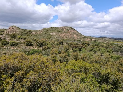 Antisquera, La (661 m)