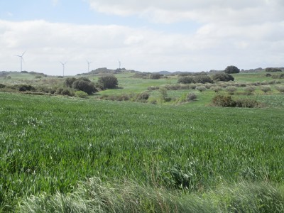 Pedregosa, La (447 m)