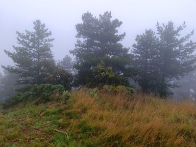Gatún Norte (1082 m)