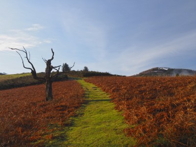 Musugorrigañe (284 m)
