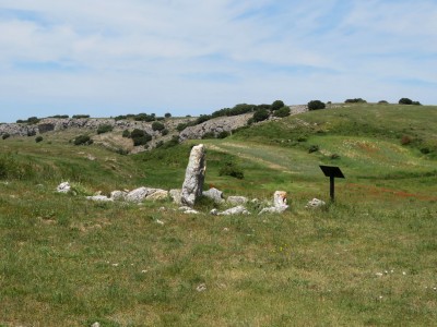 La Polera (1026 m)