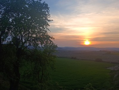 Pozo, Alto del (461 m)