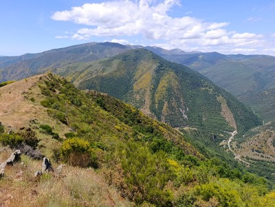 Los Lombos, Cerro (1369 m)
