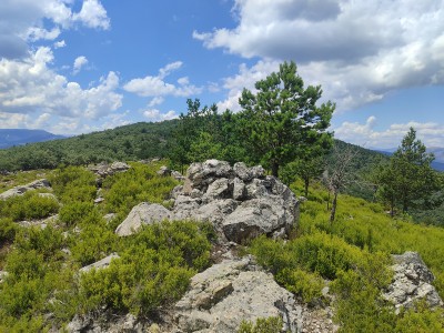 Oreja, Peña (1431 m)