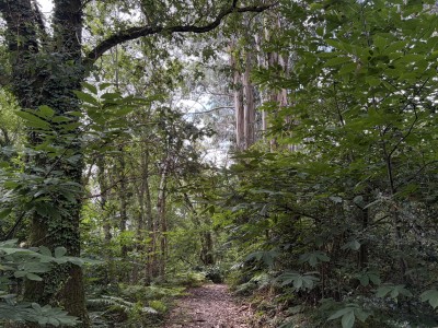 Mendikotxu (119 m)