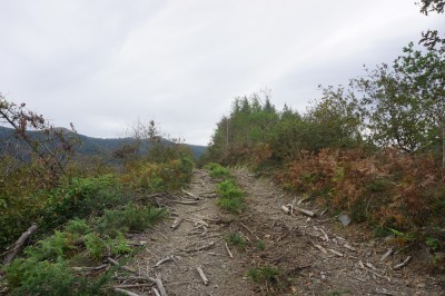 Meorbeburu (377 m)