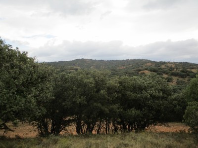 Cuerno, Alto del (1101 m)