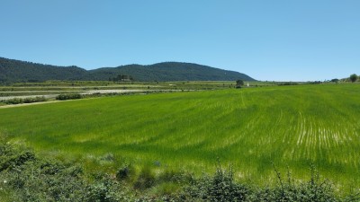 Bastida de les Alcusses, La (741 m)