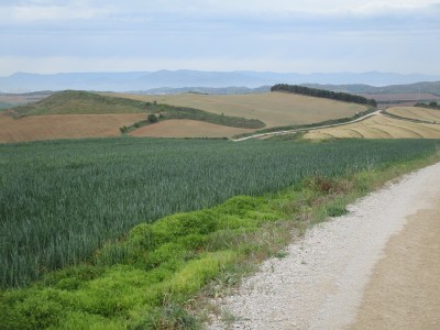 Arbeiza, Alto de (456 m)