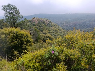 Peña Redonda (917 m)