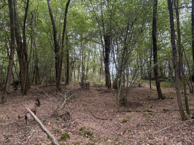 Solobarri (127 m)