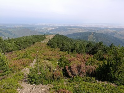 Fuente Milano, Cerro de (1755 m)