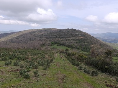 Martín, Peña (1408 m)