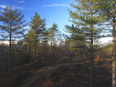 Gainzabala (871 m)