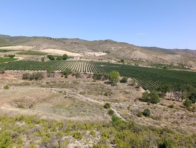 Pelón, Alto del (921 m)