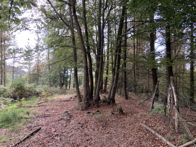 Tontorgana (681 m)