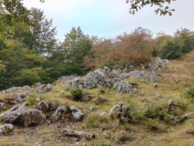 Simistraduia (1160 m)