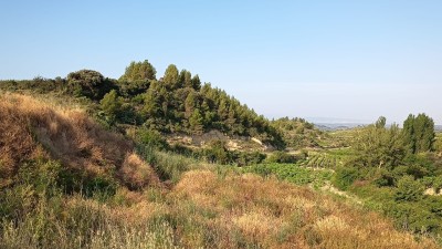 Ribas, Las (577 m)
