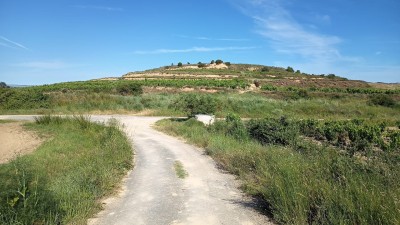 Tejera, La (484 m)