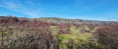 Santa Cruz S, Peña de (1144 m)