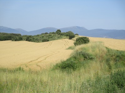 El Somillo (511 m)