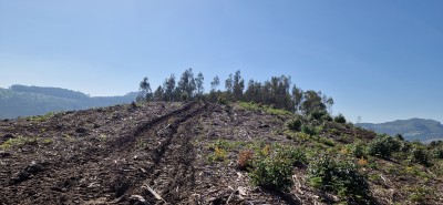 Sopendón N, Alto del (303 m)