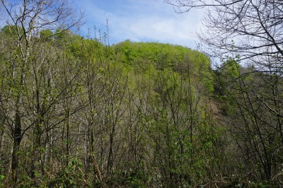 Boiarren kaskoa (776 m)