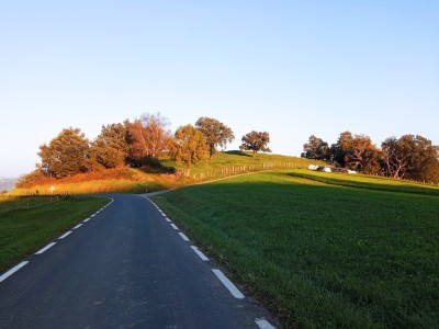 Depositoaldea (210 m)
