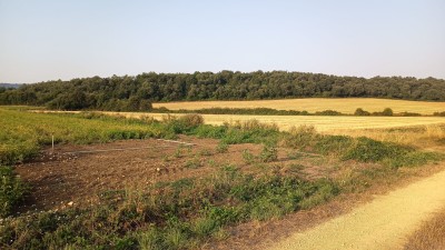 Cerro, El (651 m)