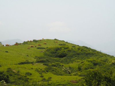 La Silla (693 m)