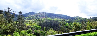 Llaguno W (284 m)