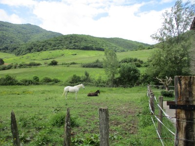 Malaun (732 m)