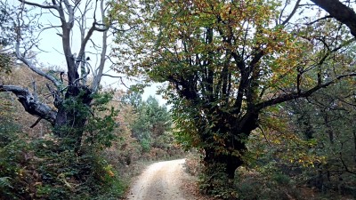 Mendiguren txiki (682 m)