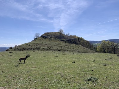 San Miguel, Cerro (785 m)