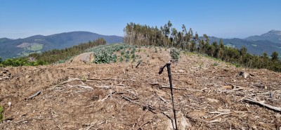 Sopendón,  Alto de (311 m)