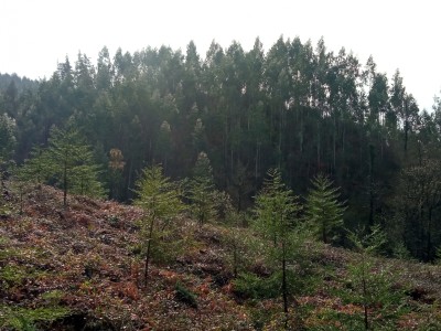 Gaztelumendiaga (393 m)