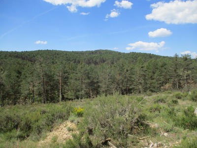 Milanos, Alto (1273 m)