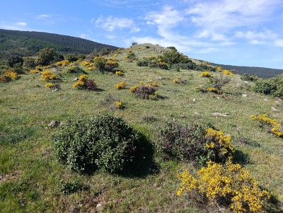 Majalmuerto (1278 m)