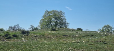 Alto del Molino Viejo (1014 m)