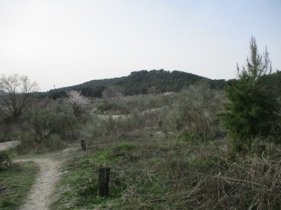 Telégrafo, Cerro del (699 m)