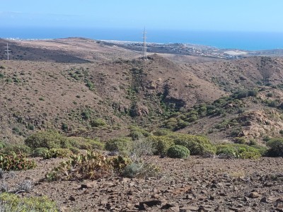 Montaña Uva (372 m)