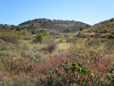 Riba Mediana (1188 m)
