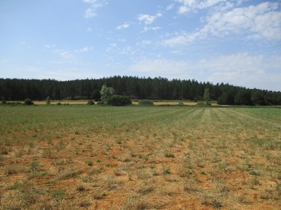 Ribalba, Alto de la (1127 m)