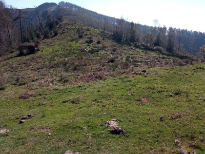 Otsolepoko Punta (690 m)